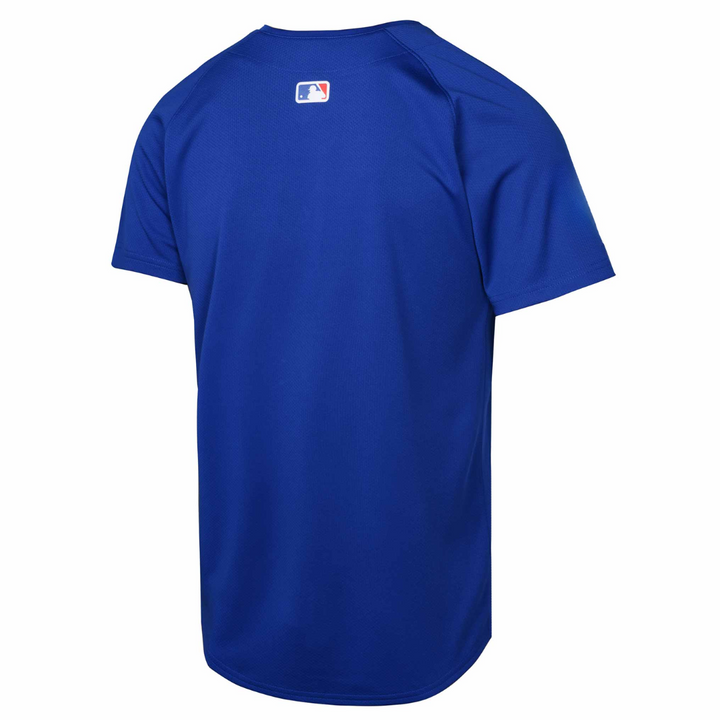 Chicago Cubs Blues Alternate Blue Limited Youth Jersey by Nike Nike