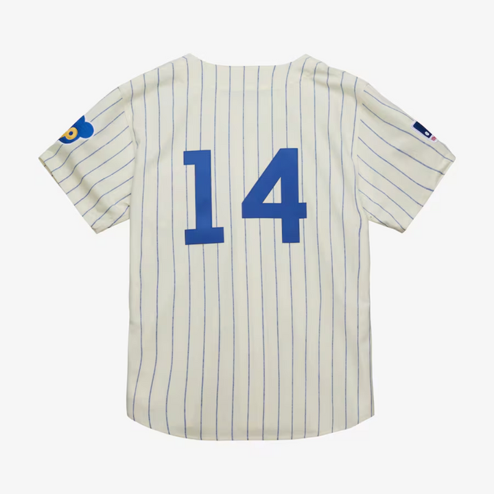 Chicago Cubs Ernie Banks 1969 Authentic Jersey by Mitchell & Ness Jerseys Ivy Shop
