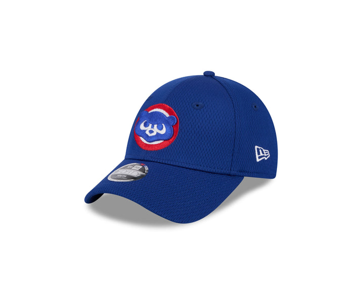 Chicago Cubs New Era Youth 1984 Bear 9FORTY Mesh Cap