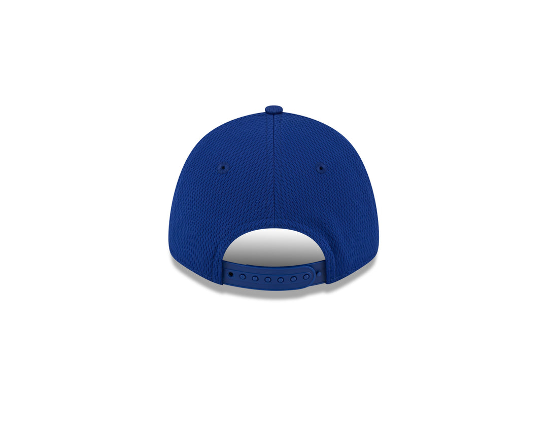 Chicago Cubs New Era Youth 1984 Bear 9FORTY Mesh Cap