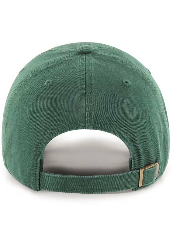 CHICAGO CUBS &